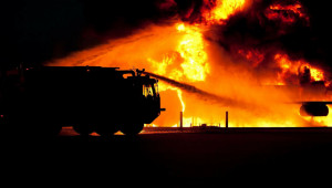 Трагедия: Пожар унищожи близо 3000 животни