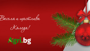 Честито Рождество Христово от екипа на Агри.БГ - Agri.bg