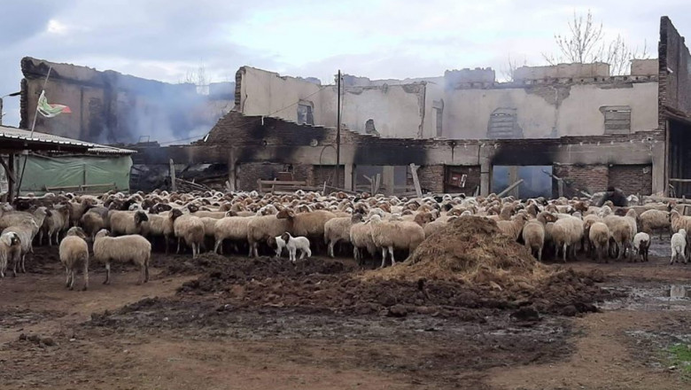ДФЗ намери пари за опожарената овцеферма в село Исперихово