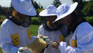 Състезание търси най-добрите пчелари-ученици - Снимка 1