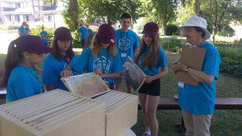 Състезание търси най-добрите пчелари-ученици