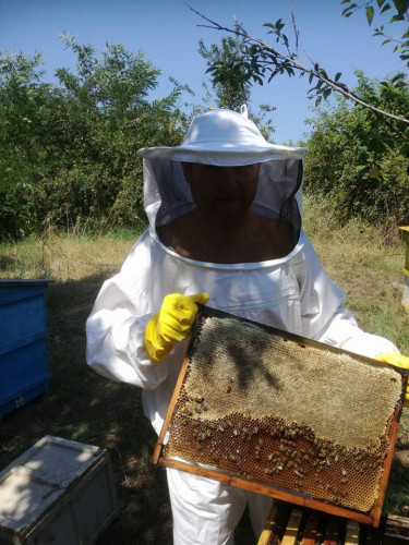 Продава 30 пчелни семейства с кошерите - Снимка 1