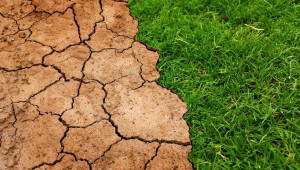 Предстоящо: Земеделието влиза в закона за климата