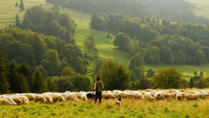 Войчеховски: Европейското земеделие е в повратна точка