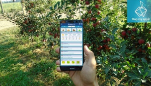Агроиновации: Мобилно приложение улеснява производителите на ябълки - Снимка 1