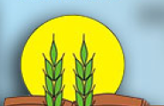 Институт по Почвознание, Агротехнологии и Защита на Растенията „Никола Пушкаров“ – София - лого на компанията