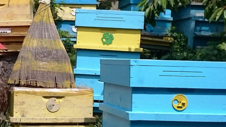 Какво се случи в пчеларския сектор в Добруджа?