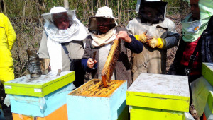 Пчелар оборудва демонстрационен кошер за начинаещи и за ученици