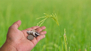 200 млн. евро повече за българското земеделие в ОСП след 2020 - Agri.bg