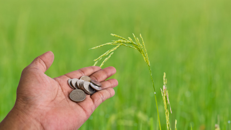 200 млн. евро повече за българското земеделие в ОСП след 2020
