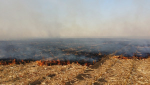 ДФЗ прави черен списък на площите, опожарени преди Кампания 2020 - Agri.bg