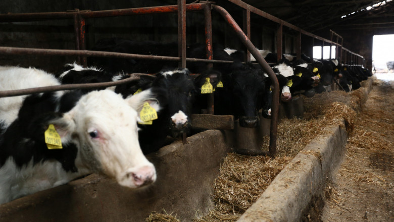 Животновъди искат de minimis за изхранване на добитъка