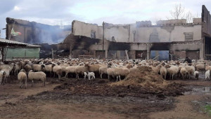 ДФЗ отпуска до 15 900 лева за опожарената овцеферма в Исперихово