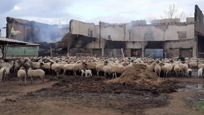 ДФЗ отпуска до 15 900 лева за опожарената овцеферма в Исперихово