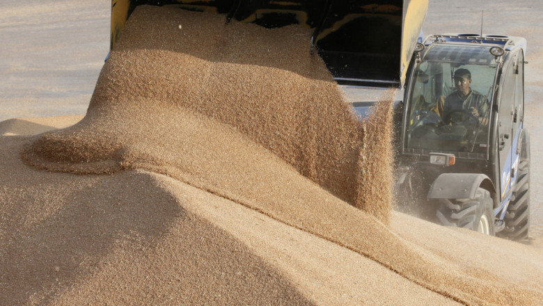 Нагоре и надолу: Цената на пшеницата се раздвижи
