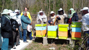 Мирослав Комитски: Пчеларството е най-антистресовото занимание