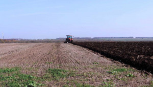 Обявиха търг за земеделски земи в Добричко - Agri.bg