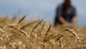 Важно: Земеделците могат да се пререгистрират до 9 юни - Agri.bg