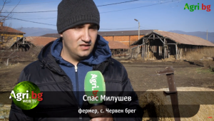 Млад фермер: Вместо със стопанството, се занимаваме с документация - Agri.bg