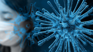 Добре е да знаете: Как животните разпространяват коронавируси?
