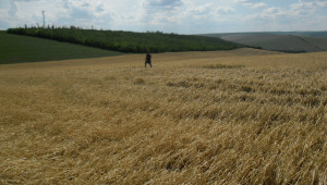 Фермери подхождат резервирано към компенсационния фонд за градушките - Agri.bg