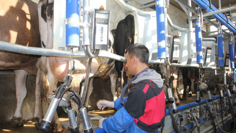 По произведено краве мляко – второ място за област Сливен