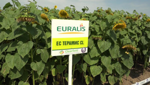 На пролет: Семената на Еуралис отново ще съживят родните ниви - Снимка 2