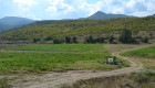 Земеделска земя масив без комисионна за купувача - Снимка 3
