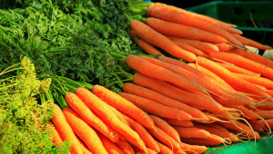 Най-важното за производството на моркови
