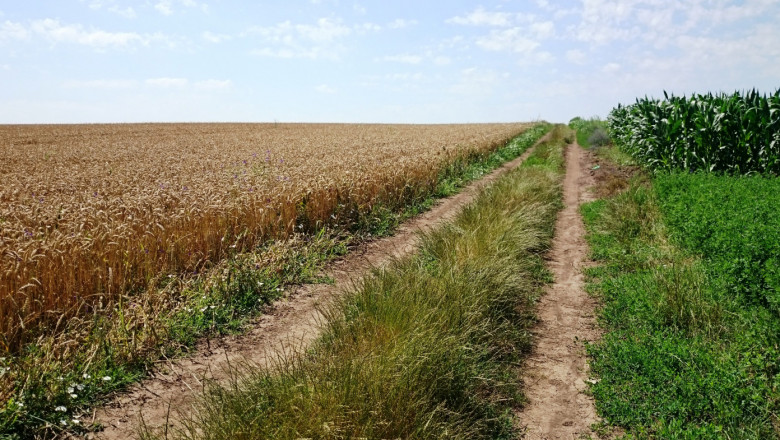 Колко плащат земеделските стопани за наеми на земи и полски пътища?