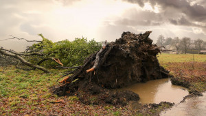 Наводнение: Няма опасност за земеделските земи край Мелник - Снимка 1