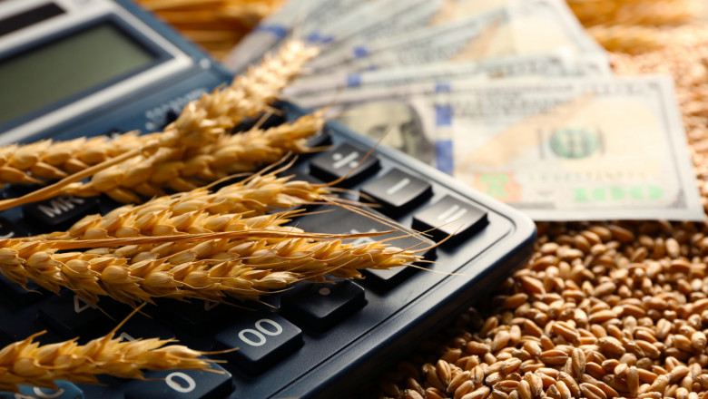 На борсата: Недоверие към поевтиняването на пшеницата