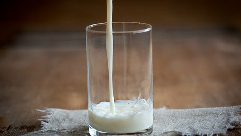 Страна, по-малка от България, стана фактор на млечния пазар