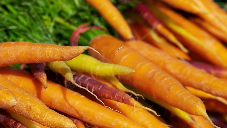 Предзимно засяване на моркови и магданоз