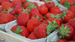 Производство на ягоди - особености