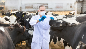 Вижте кои проверки в животновъдните стопанства се отлагат