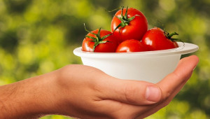 Върхово гниене по доматите - има различия между отделните сортове