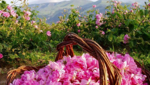 Малинова мечта с дъх на лавандула и рози - Снимка 5