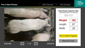 Агроиновации: Цифрови камери следят теглото на животните