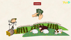Директна подкрепа за земеделието - Agri.bg