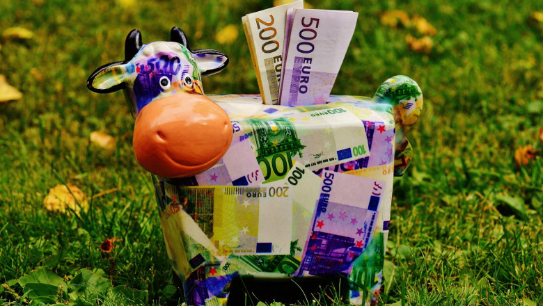 100 хил. евро на ферма плюс de minimis – възможно ли е?