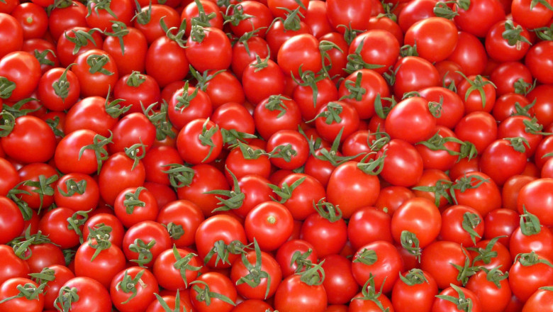 Унищожават 5 тона турски домати