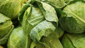 БАБХ спря 20 тона вносни краставици и зеле с пестициди