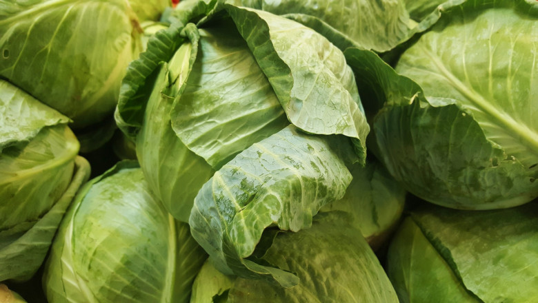 БАБХ спря 20 тона вносни краставици и зеле с пестициди