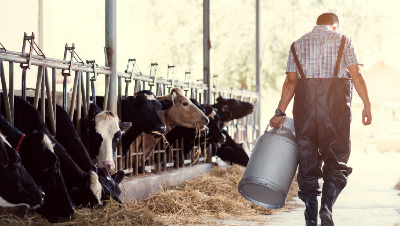 Производители призовават: Да спасим българското мляко