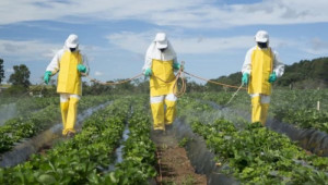 Какво трябва да знаем за пестицидите?