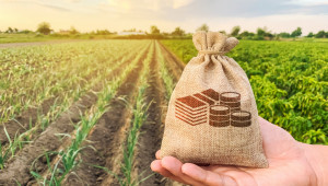 Държавна помощ: Първи 15,5 млрд. долара за фермерите в САЩ - Agri.bg