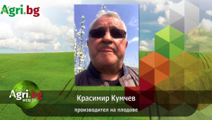 Красимир Кумчев: Производството на зеленчуци да се субсидира със 150 млн. лв.