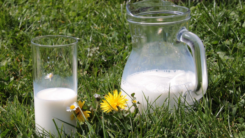 Евродепутати искат ограничение за продукцията на мляко