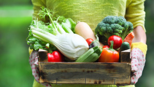 МЗХГ: Подкрепата за „Плодове и зеленчуци“, събрана на едно място - Agri.bg